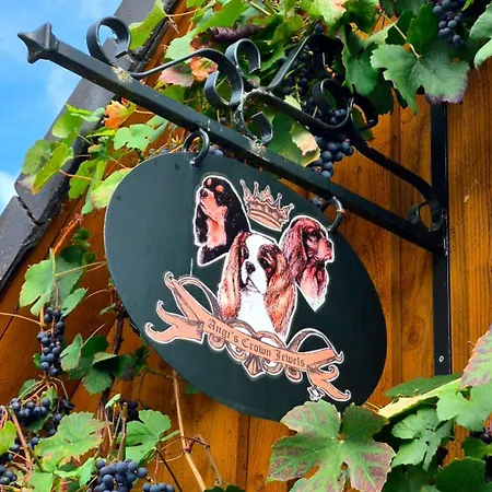 Im Gickelhof Apartamento
